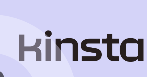Kinsta - Best for High-Traffic Stores 